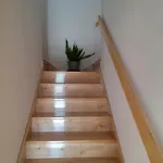بيت للعطل Family Friendly House With A Swimming Pool Brest Pod Uckom, Istria - Sredisnja Istra - 13005